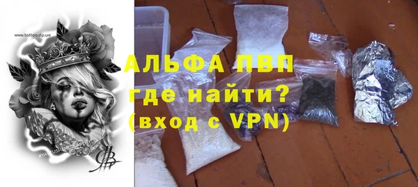 трава Белокуриха